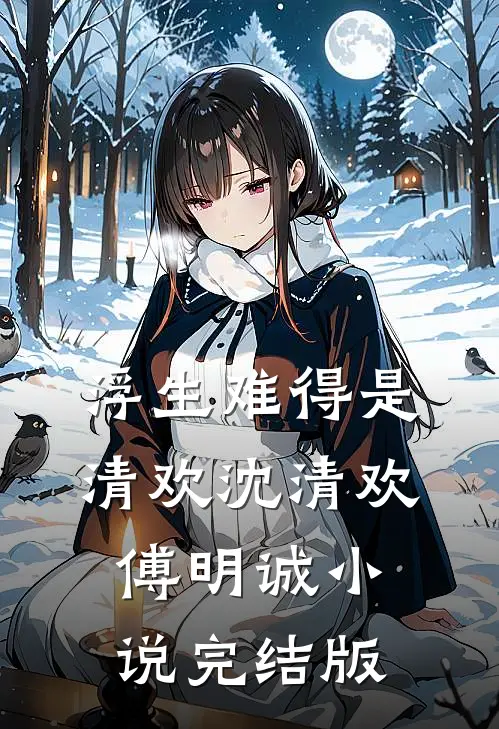 浮生难得是清欢沈清欢傅明诚小说完结版