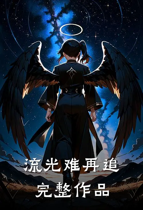 流光难再追完整作品