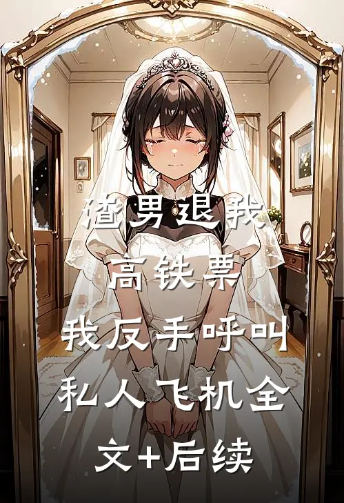 渣男退我高铁票，我反手呼叫私人飞机全文+后续