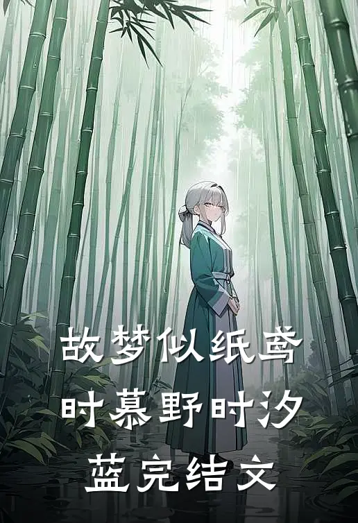 故梦似纸鸢时慕野时汐蓝完结文