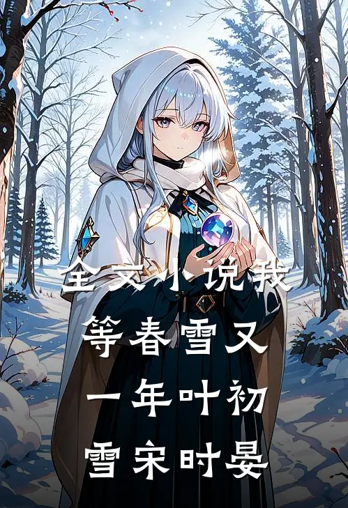 全文小说我等春雪又一年叶初雪宋时晏