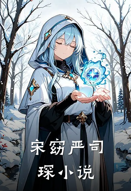 宋窈 严司琛小说