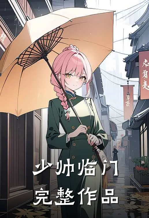 少帅临门完整作品