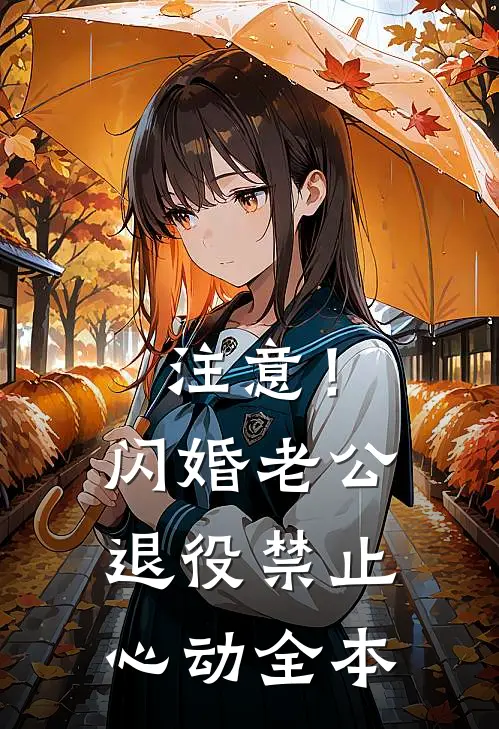 注意！闪婚老公退役，禁止心动全本