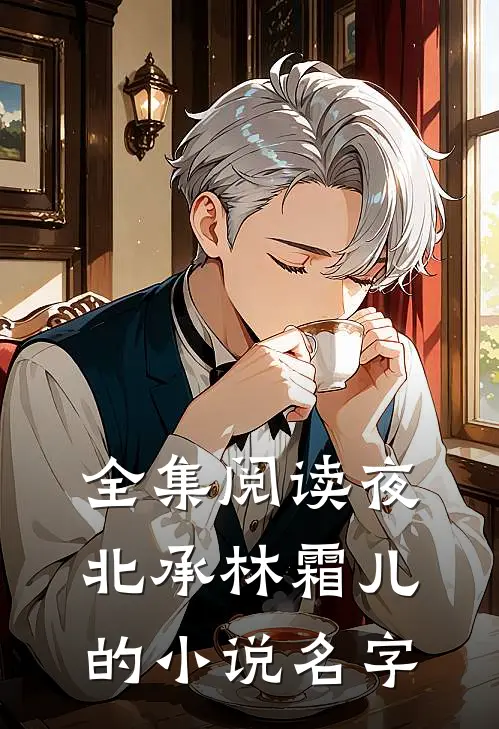 全集阅读夜北承林霜儿的小说名字