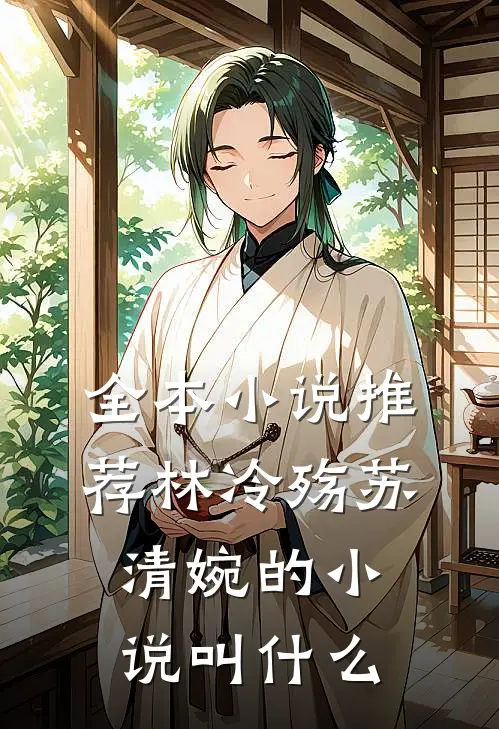 全本小说推荐林冷殇苏清婉的小说叫什么