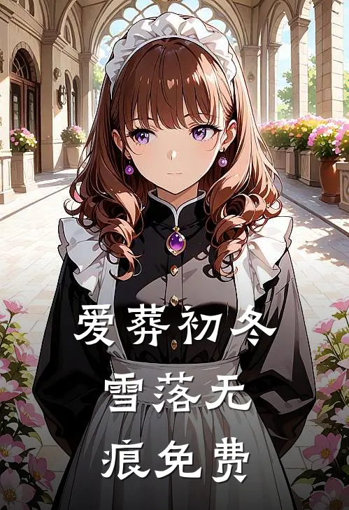 爱葬初冬，雪落无痕免费