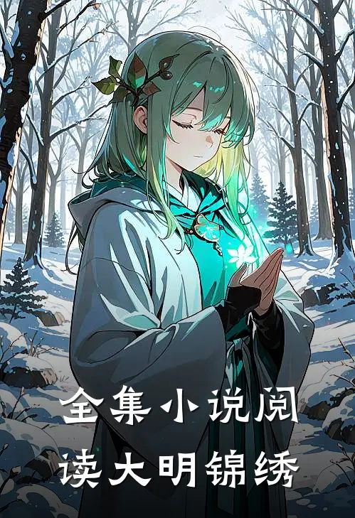 全集小说阅读大明锦绣