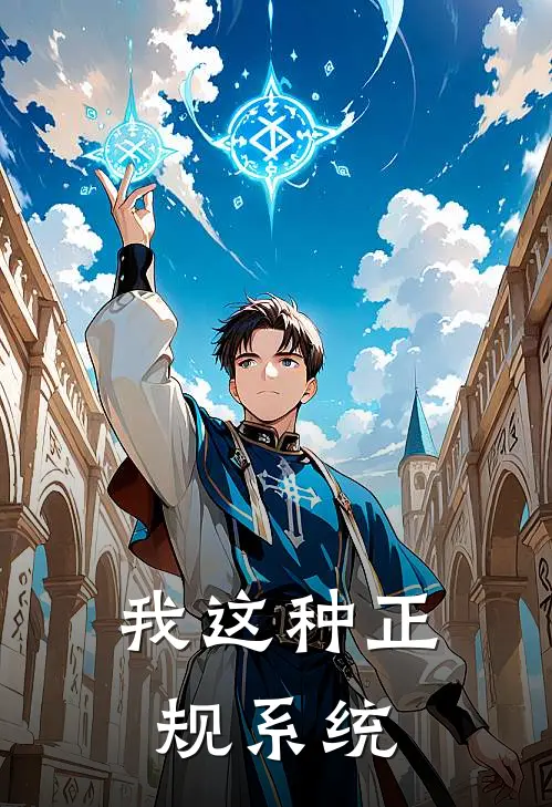 我这种正规系统