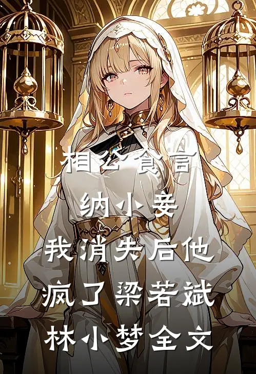 相公食言纳小妾，我消失后他疯了梁若斌林小梦全文